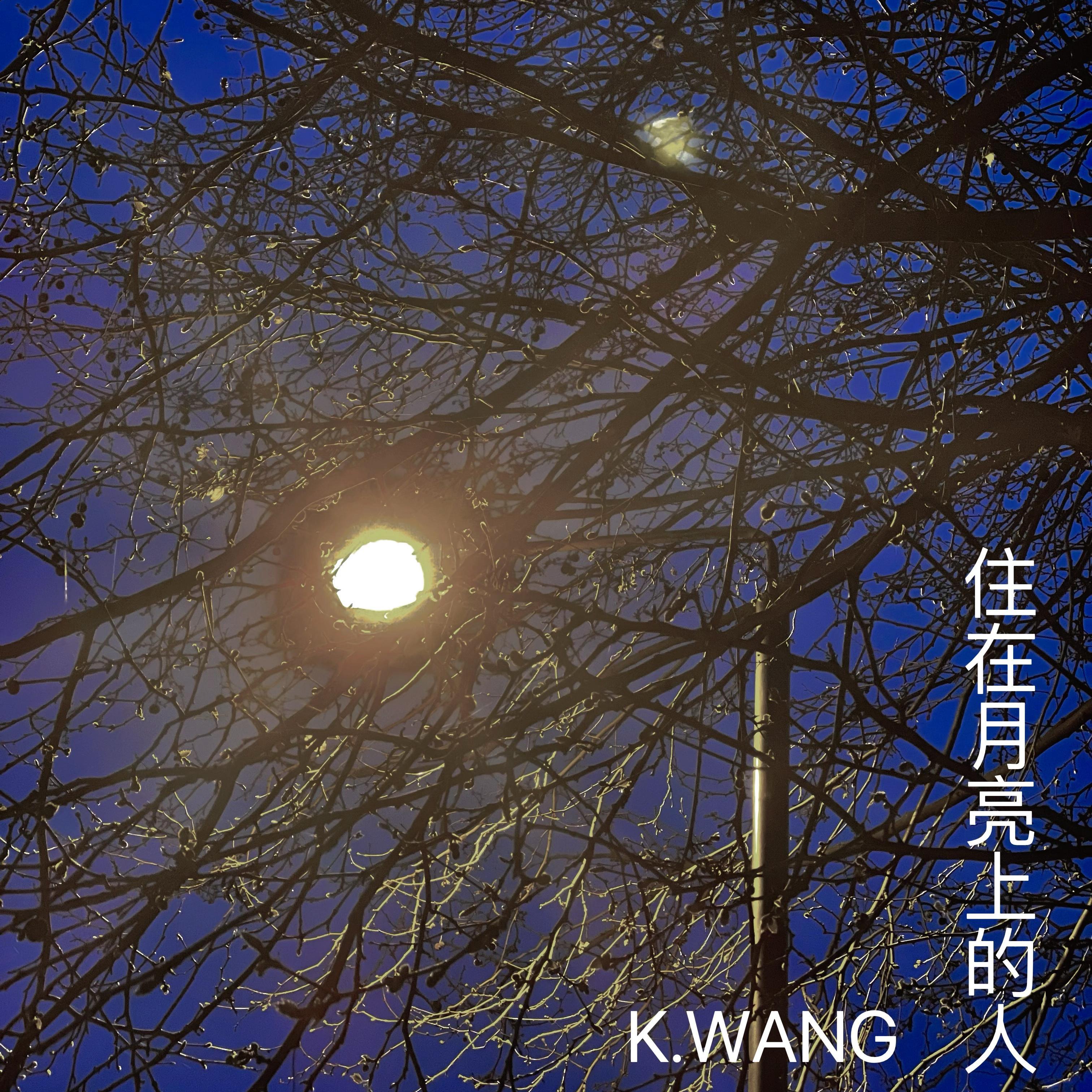住在月亮上的人