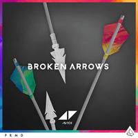 Broken Arrows - Avicii (TKS Instrumental) 无和声伴奏