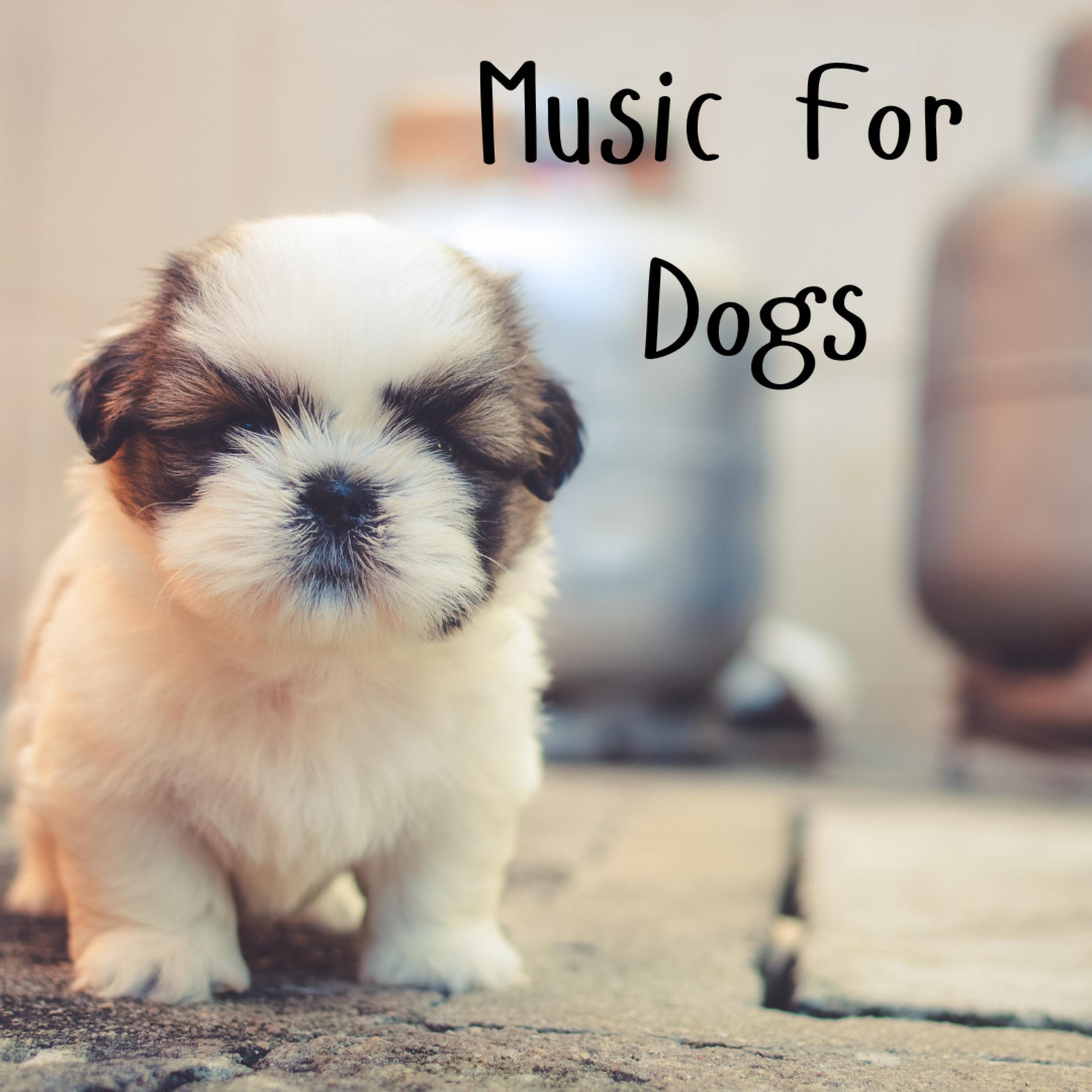Music For Dogs - Music for Pets
