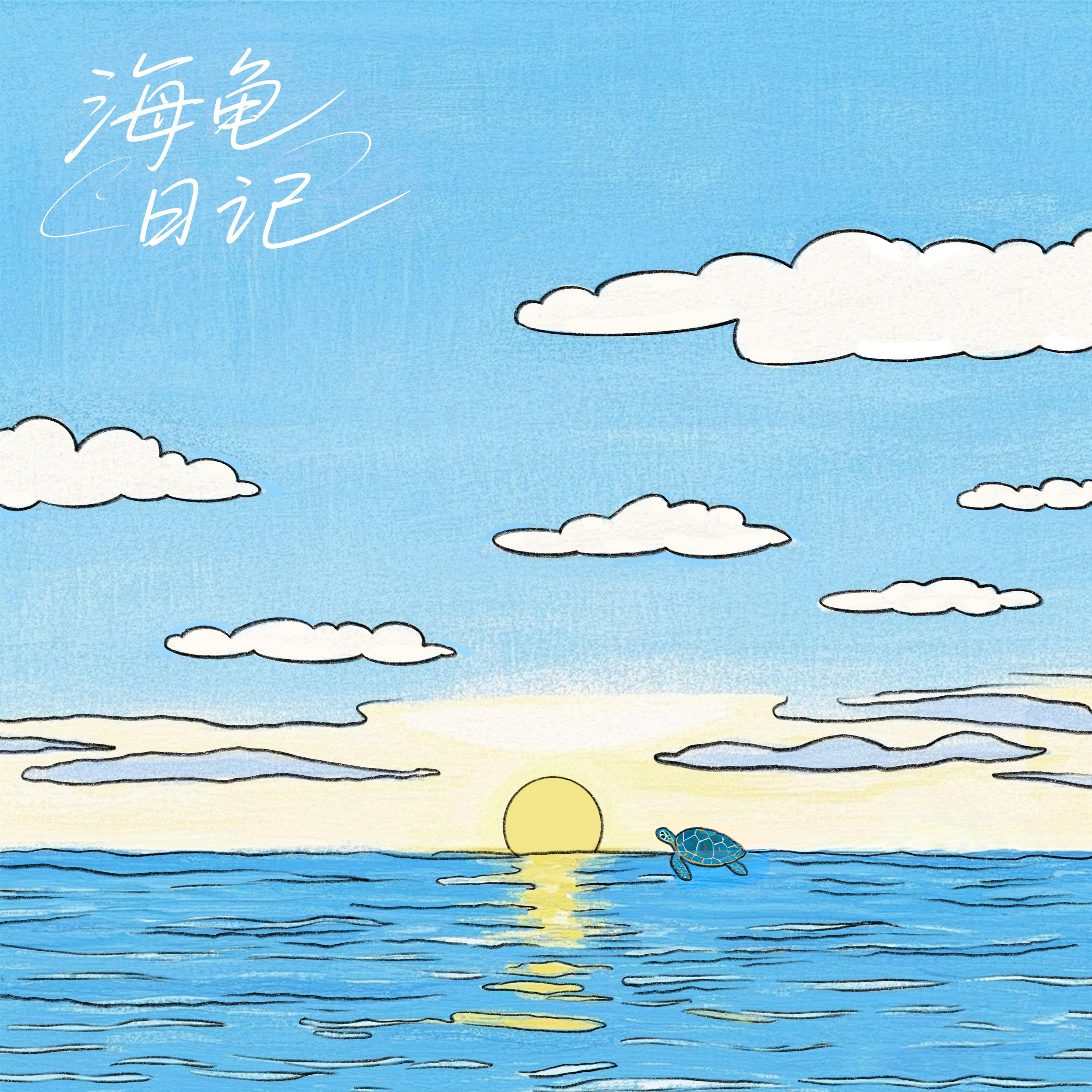 海龟日记