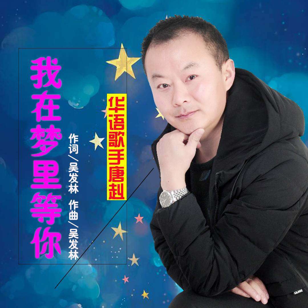 我在梦里等你专辑