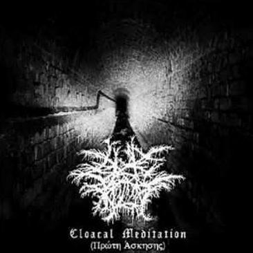 Cloacal Meditation