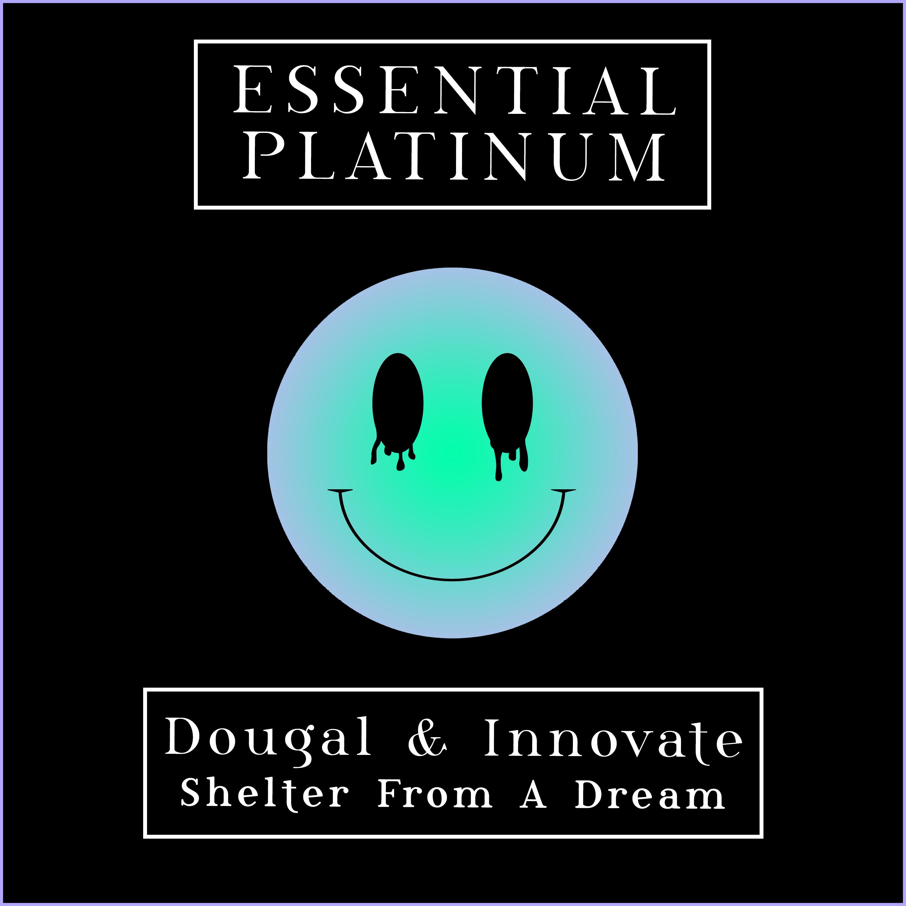 Shelter from A Dream
