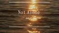 Not Alone专辑