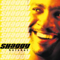 Shaggy - Dance & Shout ( Karaoke )