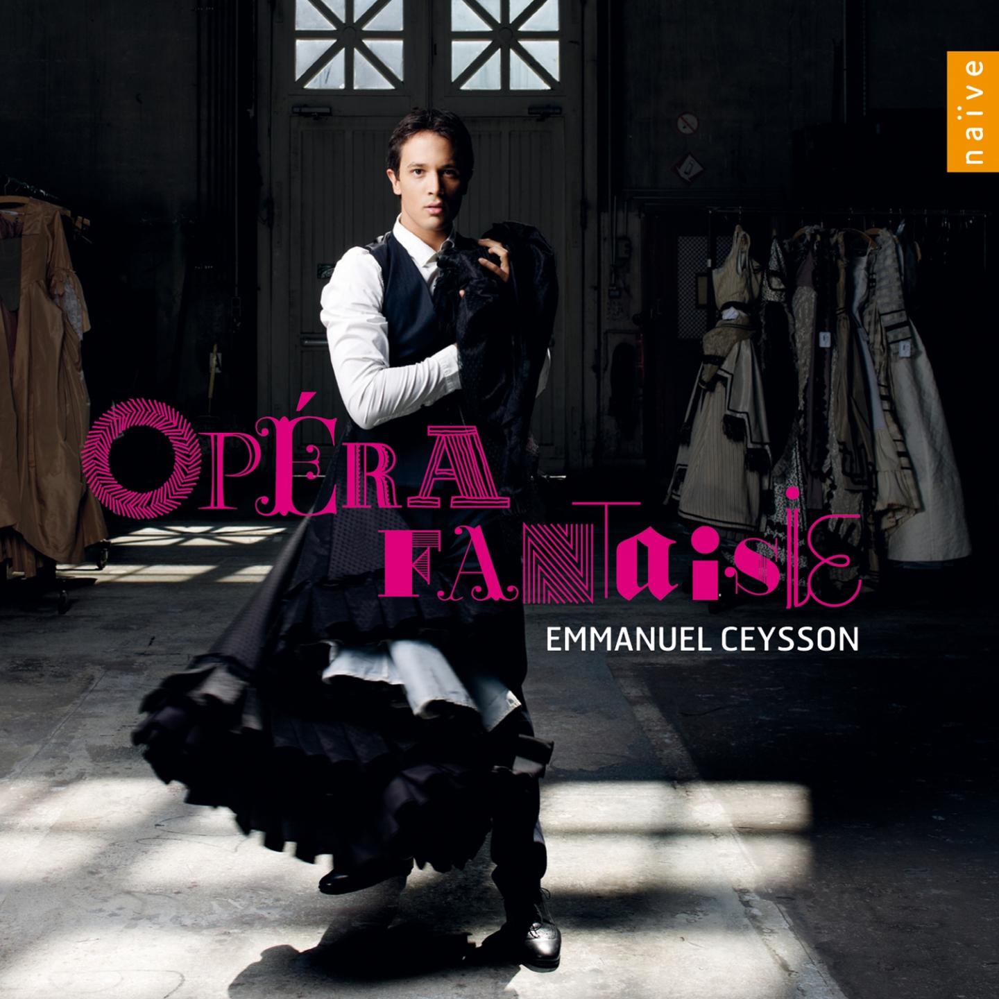 Emmanuel Ceysson - Thème et variations sur Norma