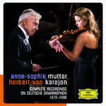 Violin Concerto In E Minor Op.64 MWV O14:1. Allegro molto appassionato