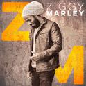 Ziggy Marley专辑