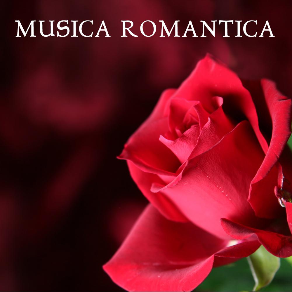 devoted to you - musica romantica ensemble - 单曲 - 网易云音乐