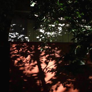 【夏日观影指南】| 持更中
