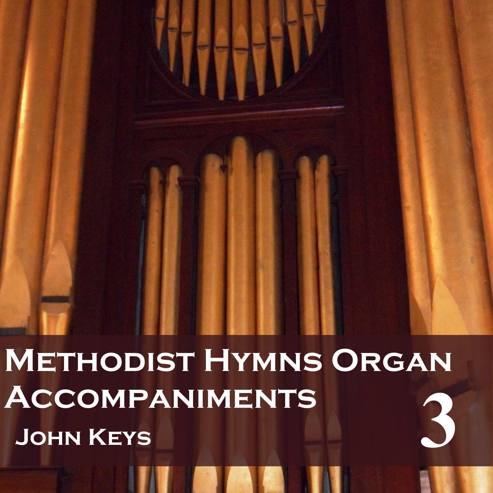 Methodist Hymns Organ Accompaniments, Vol. 3