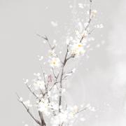 藏Ft.梵梦