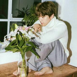 轻柔耳语：愿你黑夜有灯，梦里有人