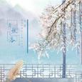 青丝洛