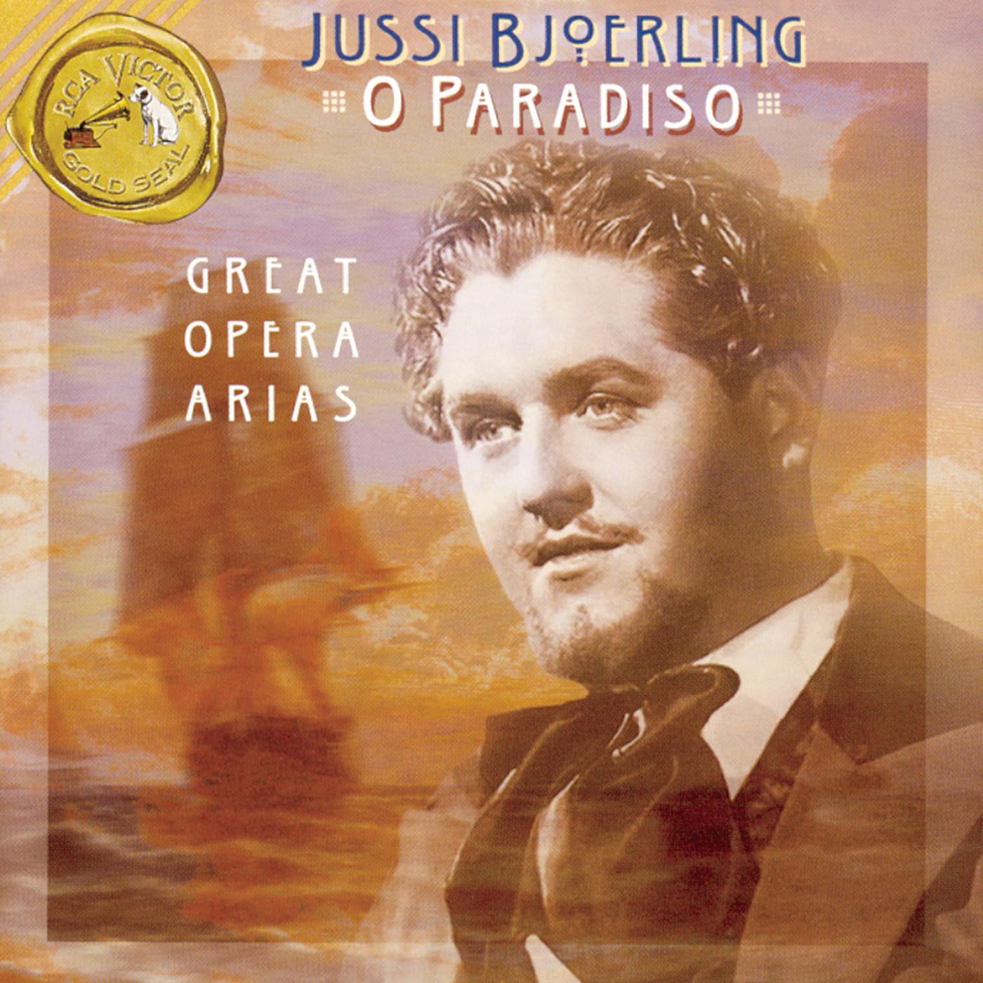 "O Paradiso" (Great Opera Arias)