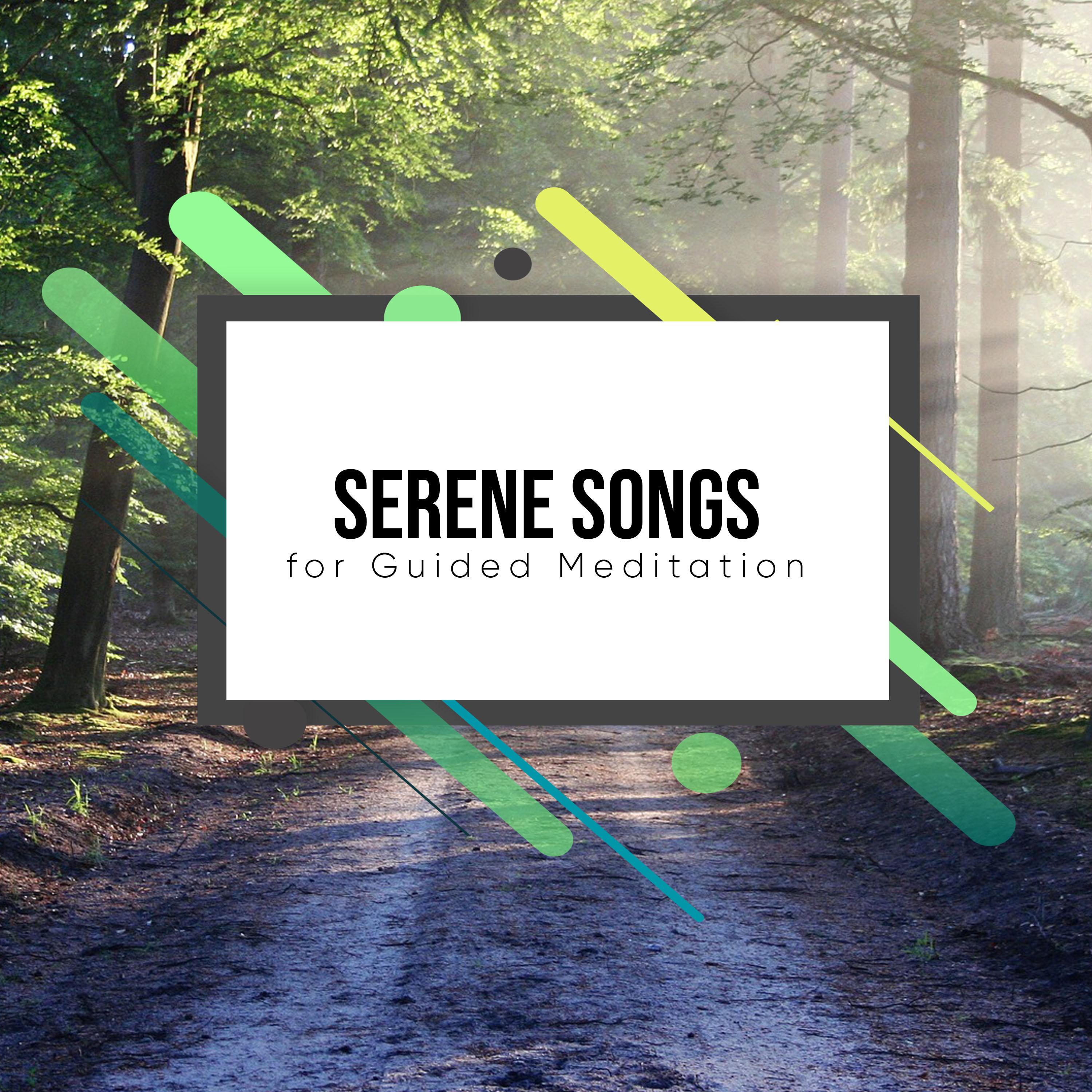 20 Serene Songs for Guided Meditation专辑