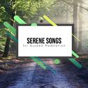 20 Serene Songs for Guided Meditation专辑