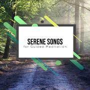 20 Serene Songs for Guided Meditation