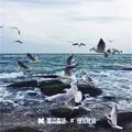 酷二狗进行曲