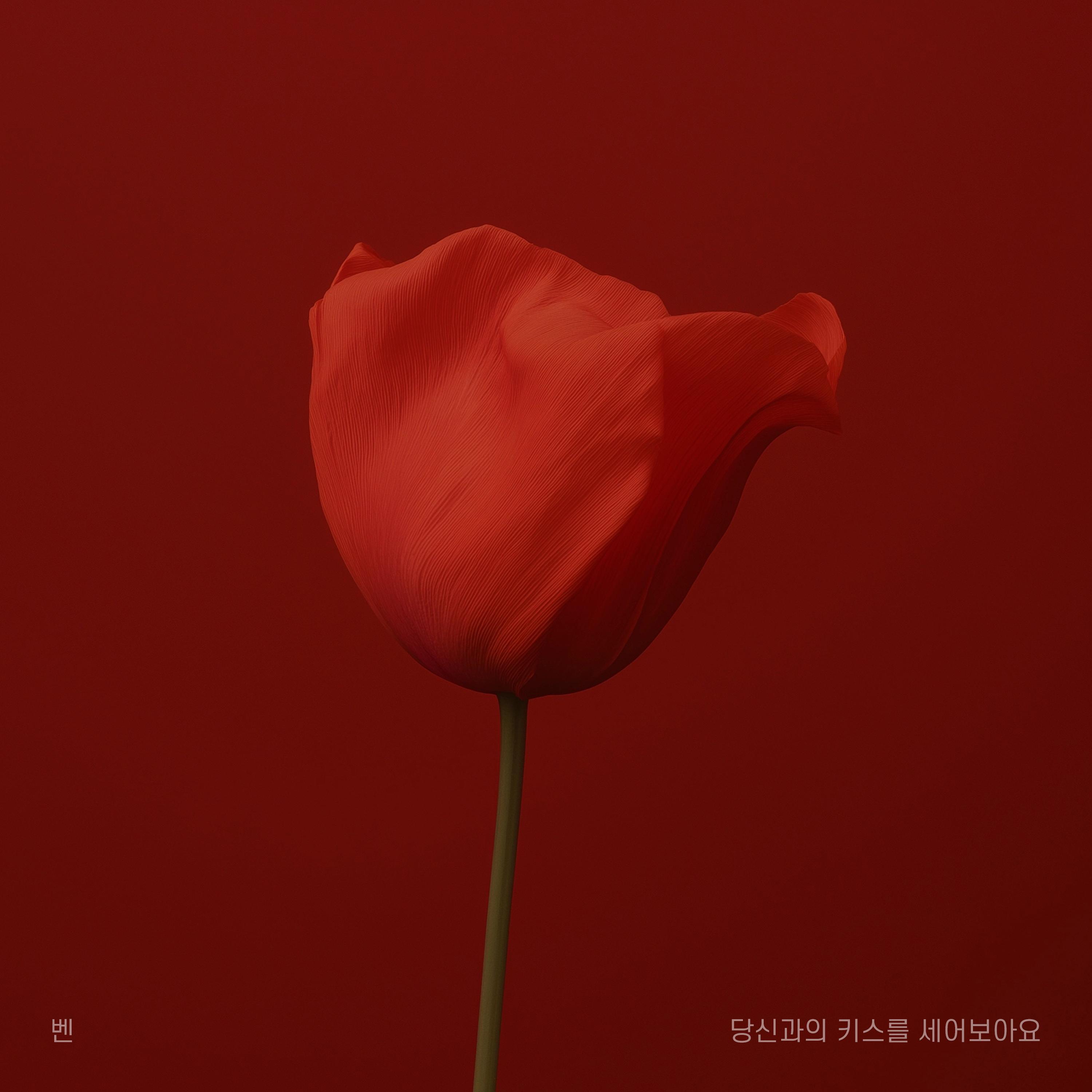 당신과의 키스를 세어보아요