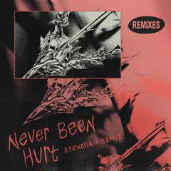 Never Been Hurt (BVRNOUT Remix)