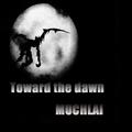 Toward the dawn (Orginal Mix)