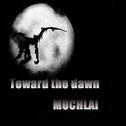 Toward the dawn (Orginal Mix)专辑