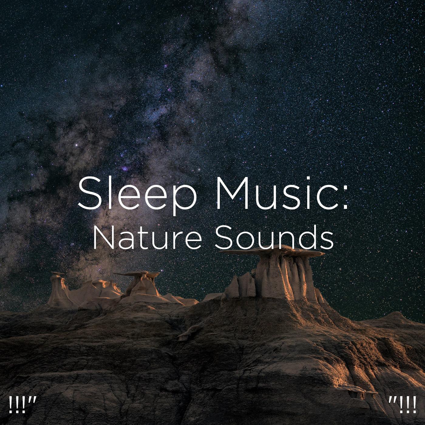 !!!" Sleep Music: Nature Sounds "!!!
