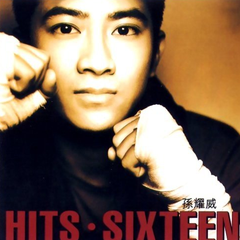 专辑《Hits Sixteen》