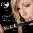 Chill Pill: 30 Classical Flute & Guitar Cuts专辑