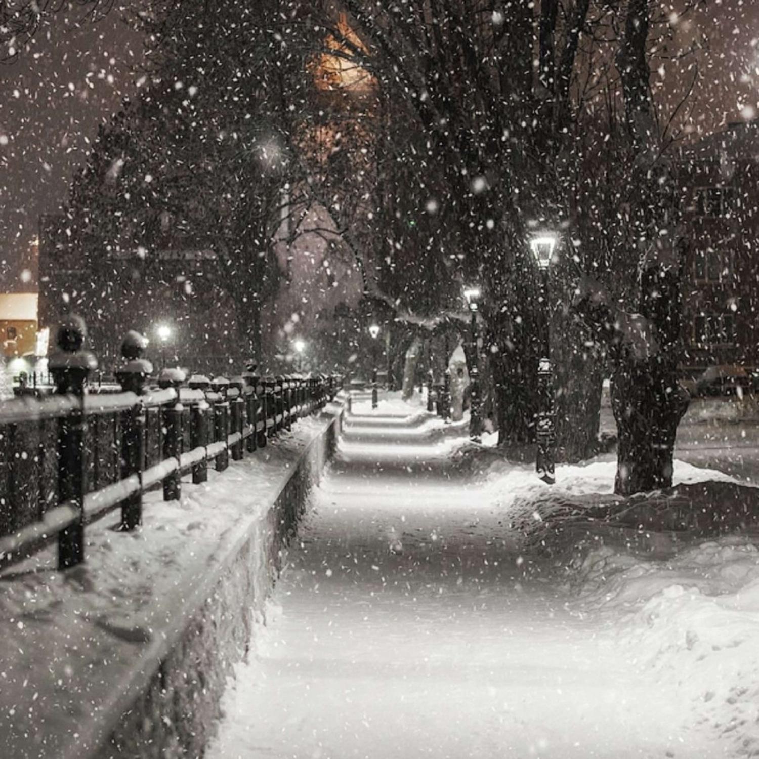 Первый снег