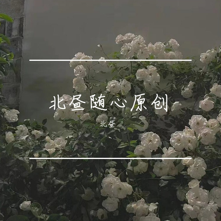 随心原创