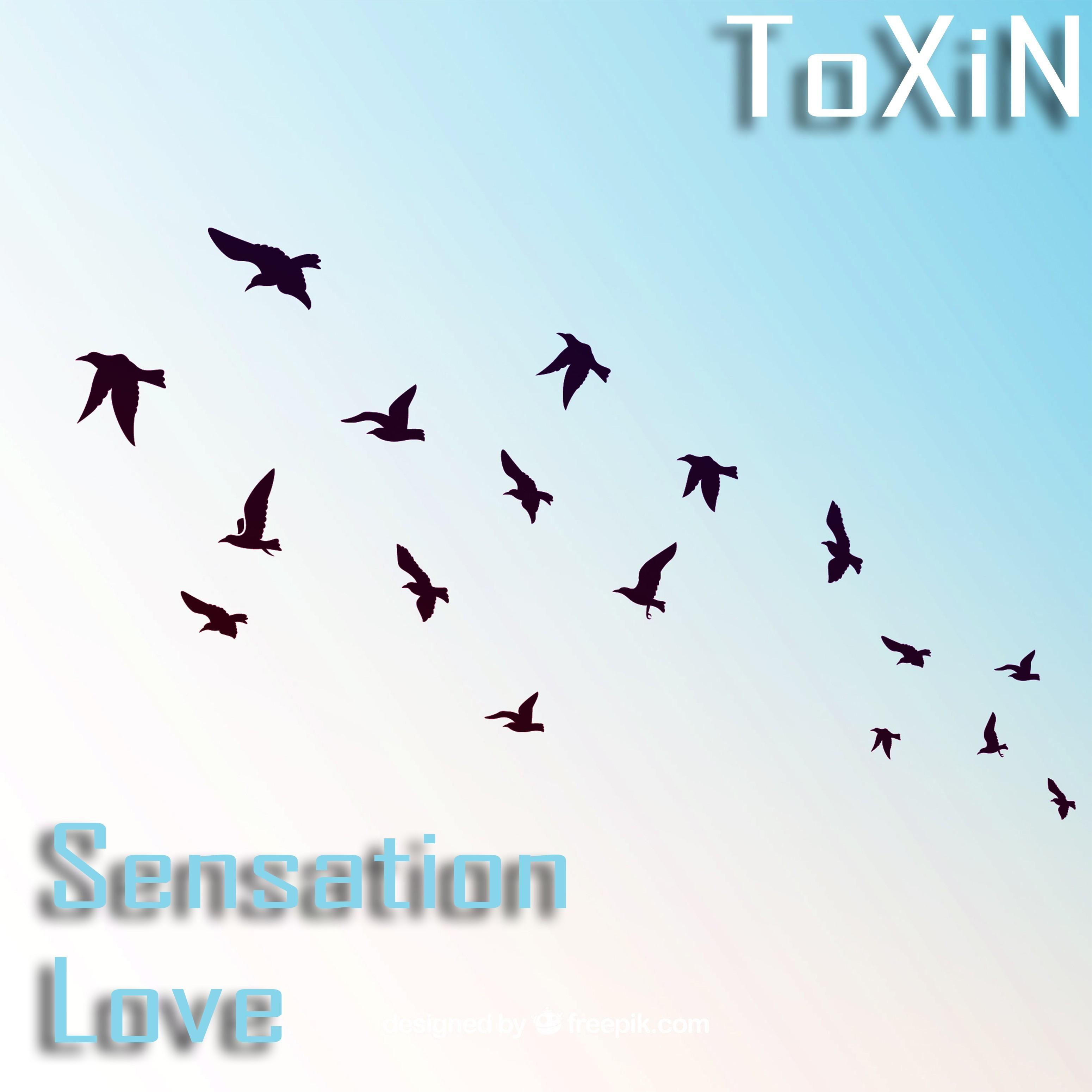 Sensation Love