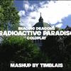 Radioactive Paradise(Mashup)