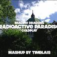 Radioactive Paradise(Mashup)