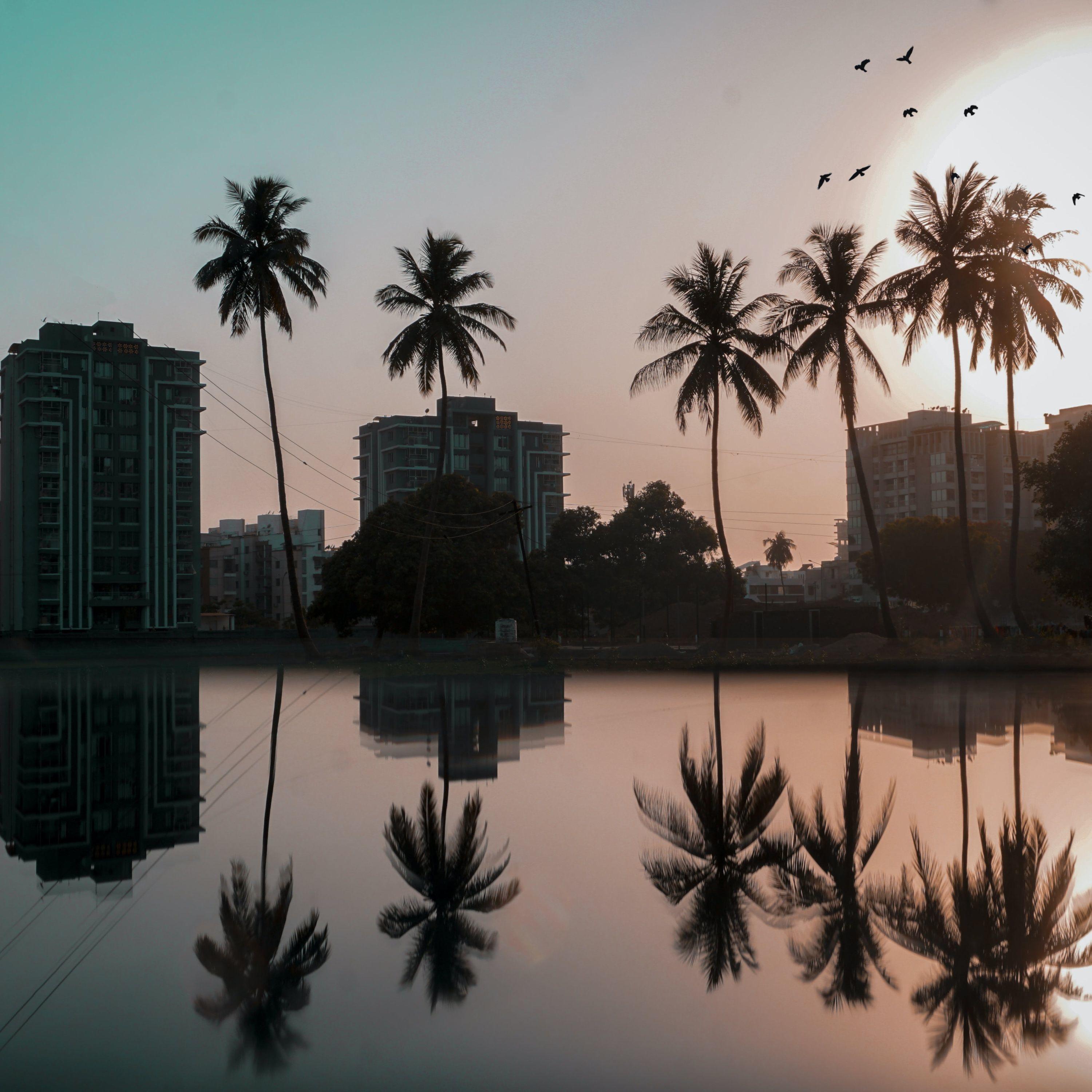 40 Deeply Soothing Songs for Meditation
