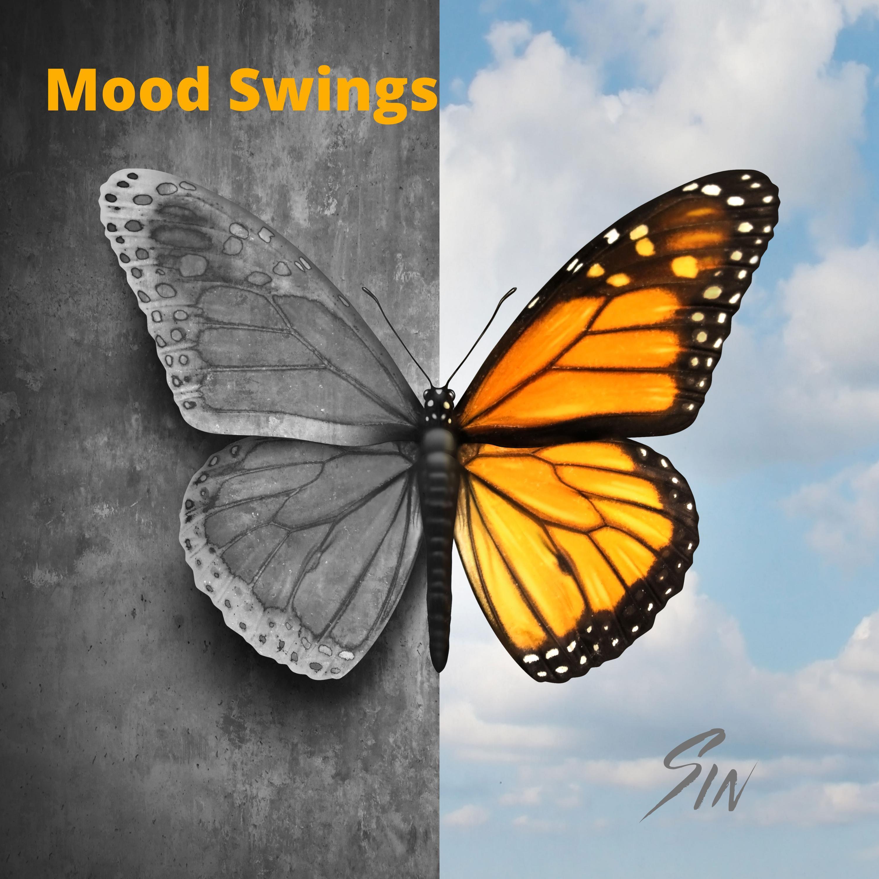 Mood Swings (Slowed + Reverb)