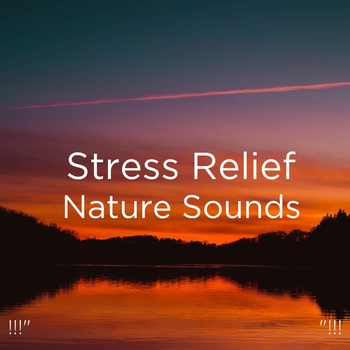 !!!" Stress Relief Nature Sounds "!!!
