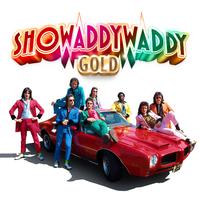 Showaddywaddy - I Wonder Why (karaoke)