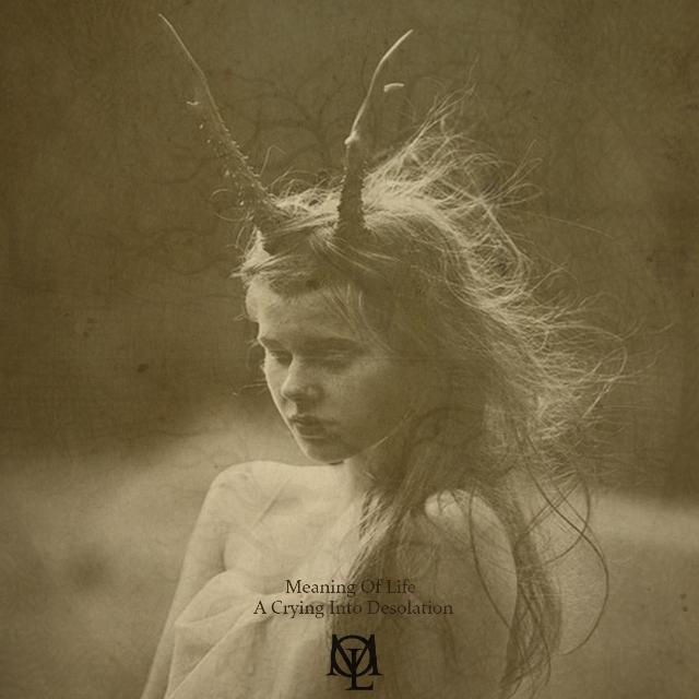 A Crying Into Desolation