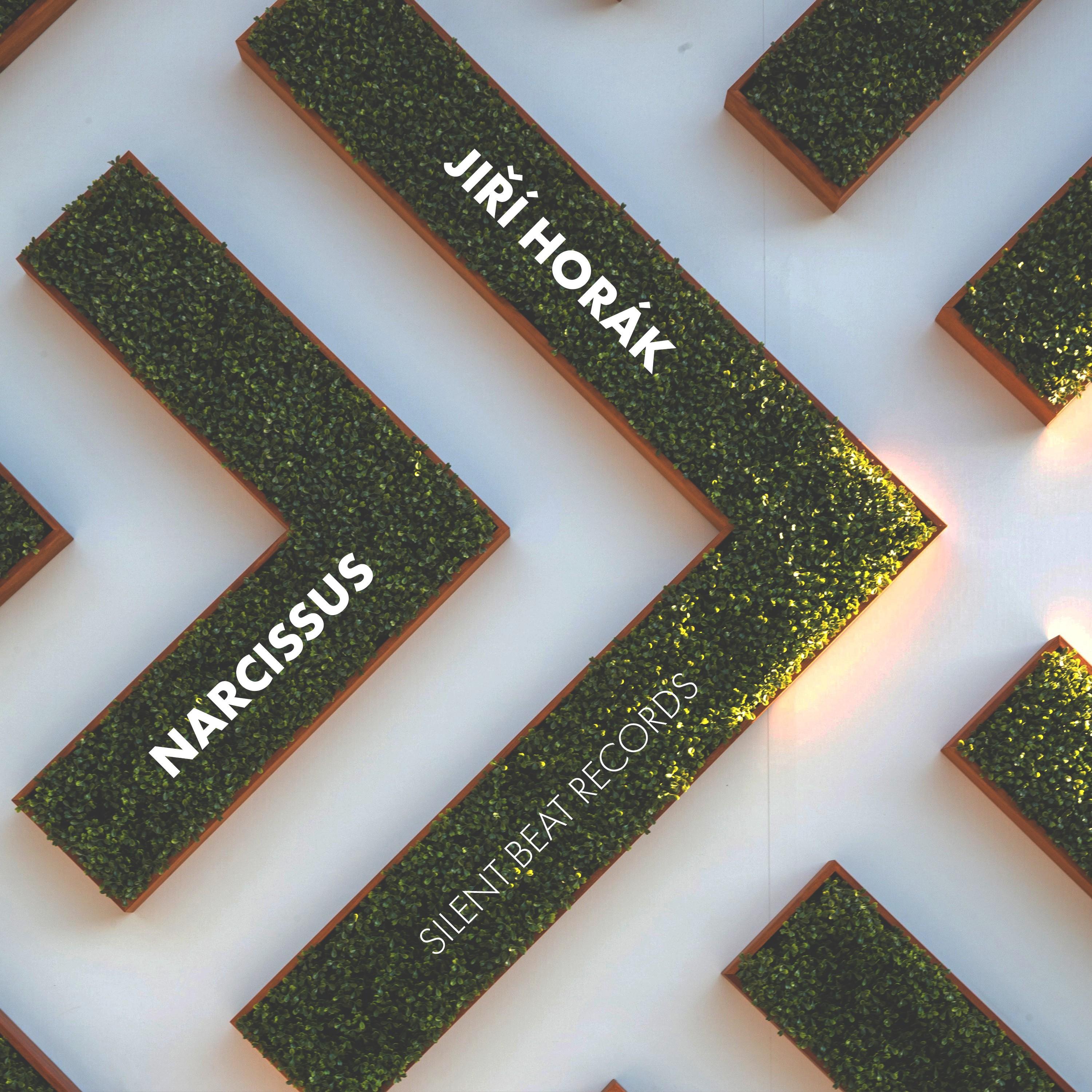 Narcissus