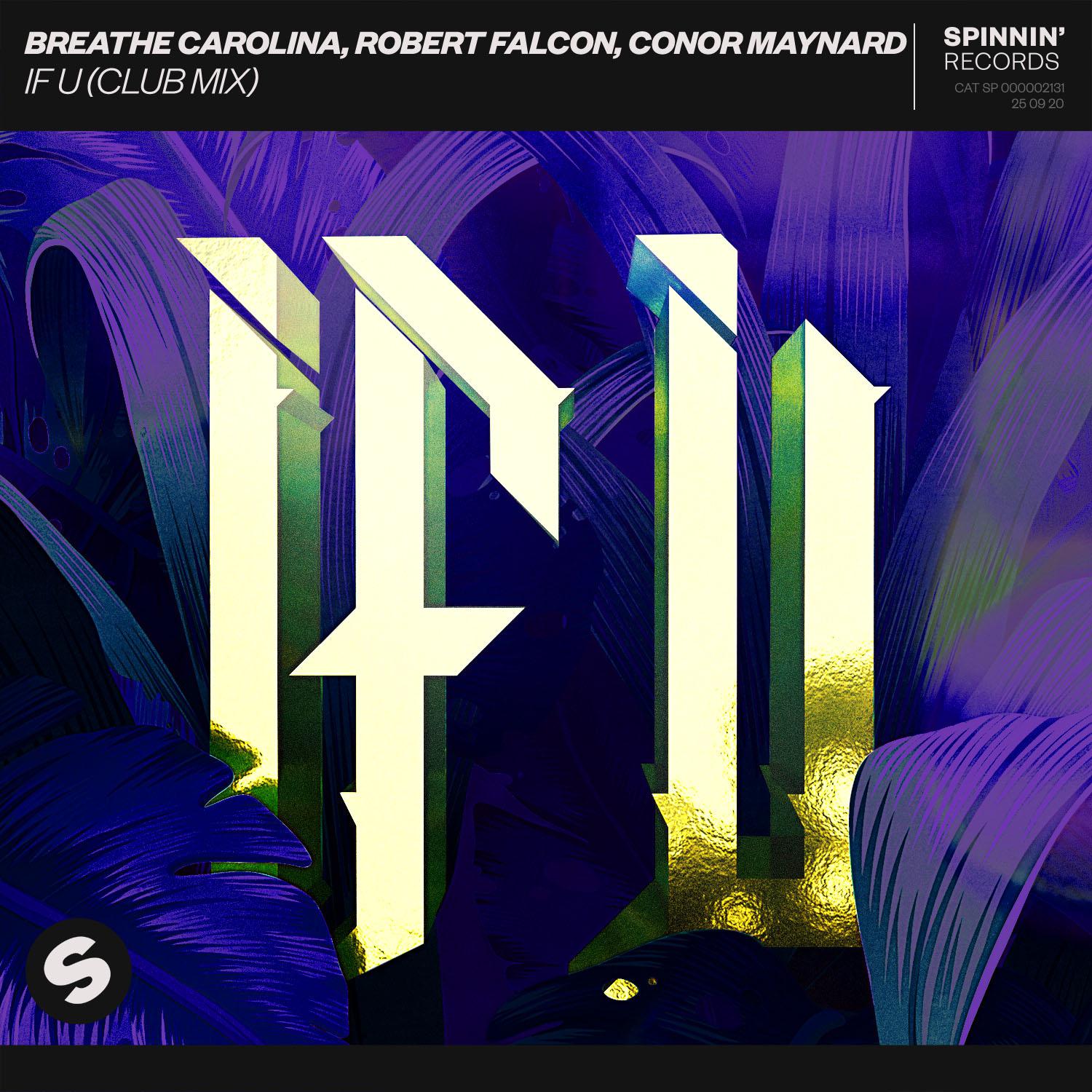 Breathe Carolina - IF U (Club Mix)