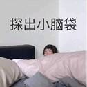 随笔专辑