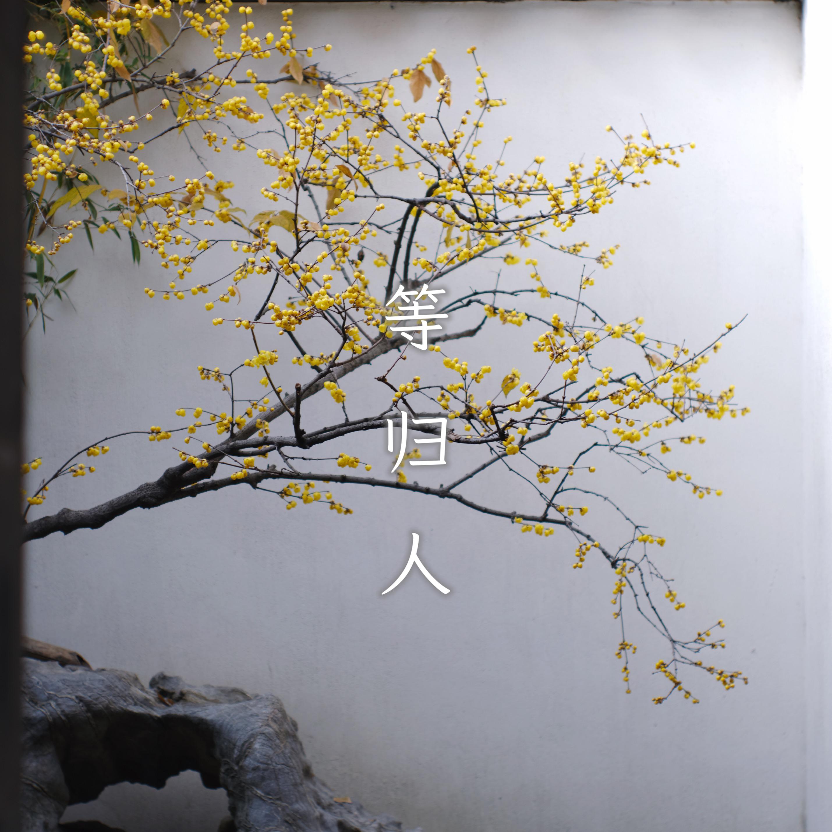 等归人专辑