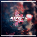 Blossom