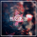 Blossom专辑