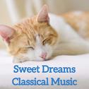 Sweet Dreams Classical Music专辑