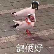 东风志