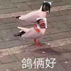 拜无忧