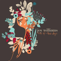 Joy Williams - One of Those Days (Pre-V) 带和声伴奏
